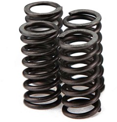 Koppelingsplaat Veer Set Voca Racing Aprilia RS4 / Aprilia RS50 / Aprilia RX50 / Aprilia SX50 SM / Derbi GPR50 R / Derbi Senda R DRD / Derbi Senda R X-Race / Derbi Senda SM DRD Racing / Derbi Senda SM